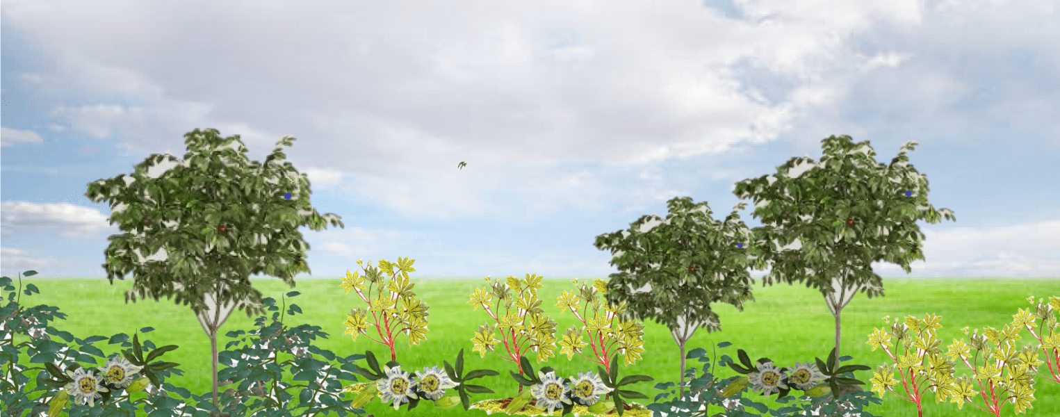 Self-sustainability EQUALS Food Forests. They are EASIER Than you Think!