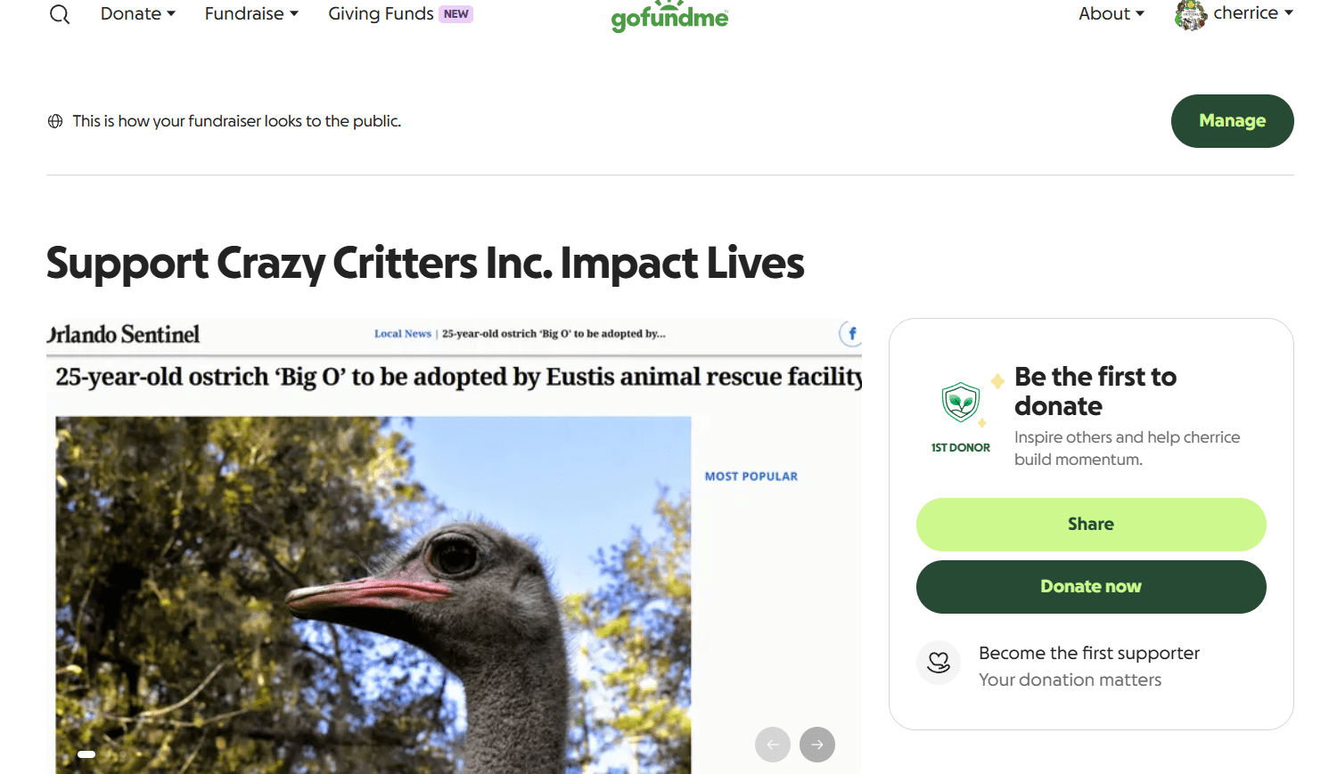 Our GoFundMe Fundraiser For ‘Big O’