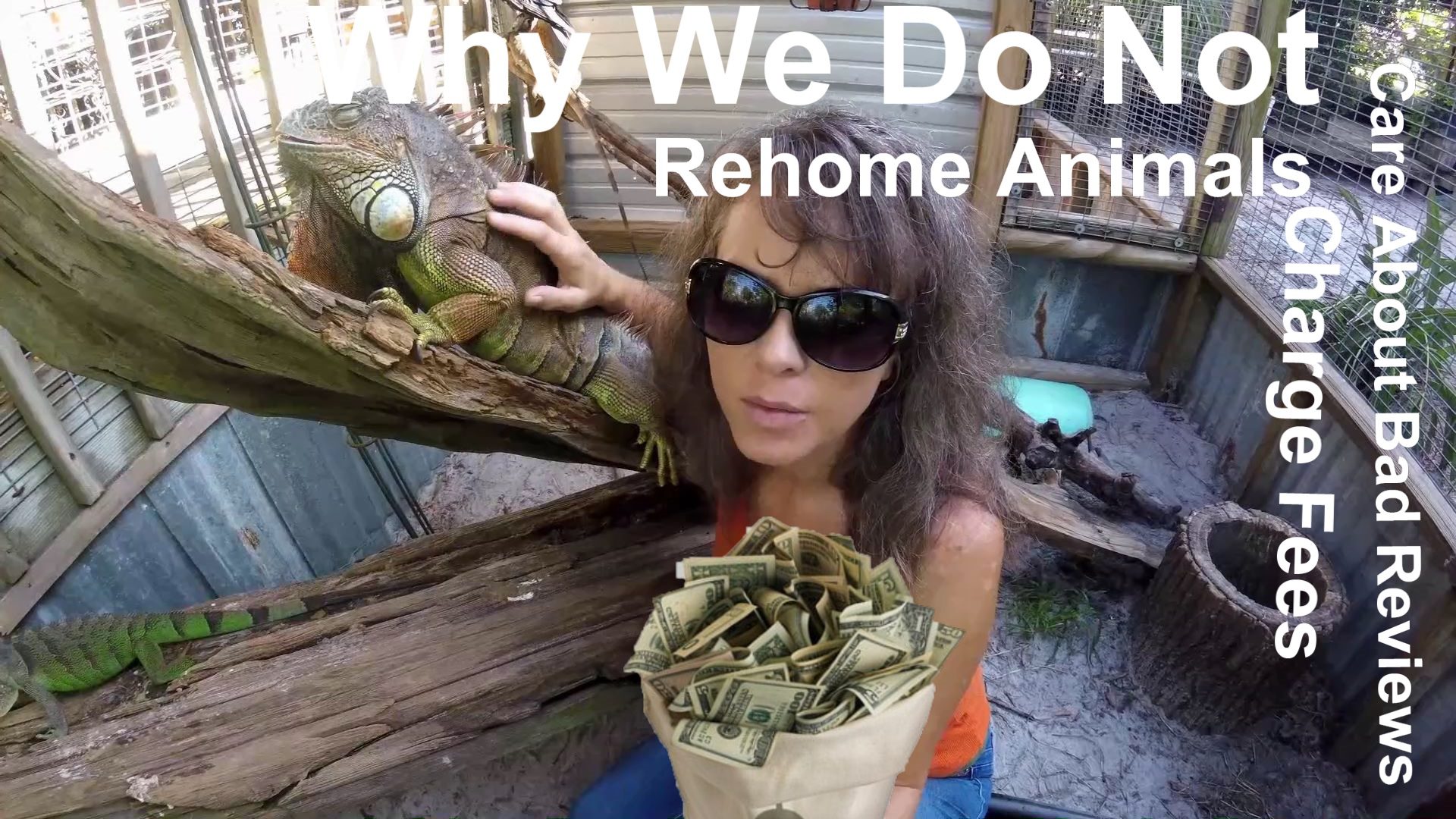 Why WE do NOT Rehome… According to Ken, it is Because PEOPLE are IDIOTS