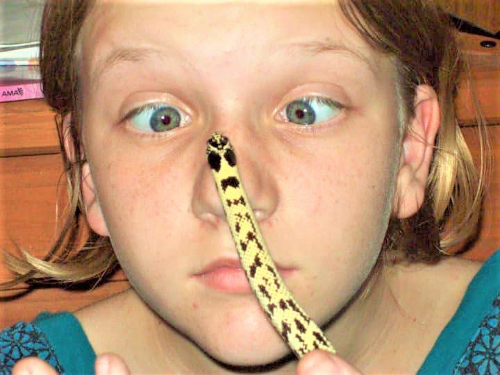 How to Transform Children Into Expert Reptile Caretakers