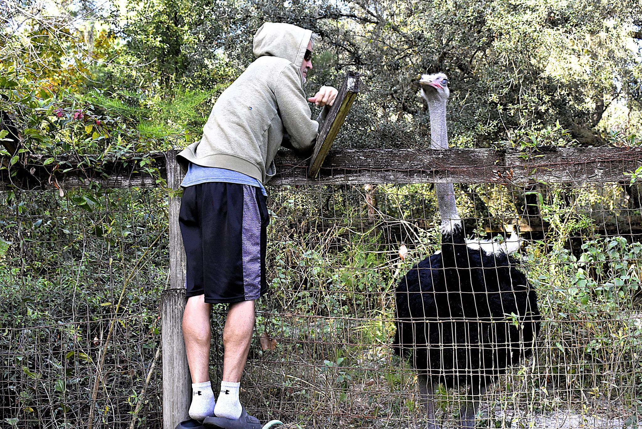 “Big O” Our Biggest Rescue Yet