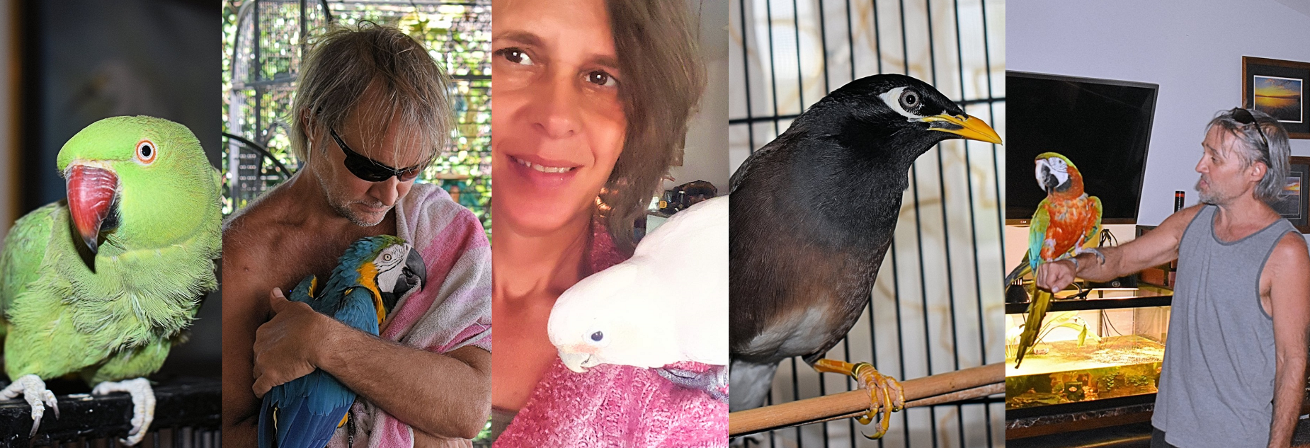 Fundraising Is For The Birds…