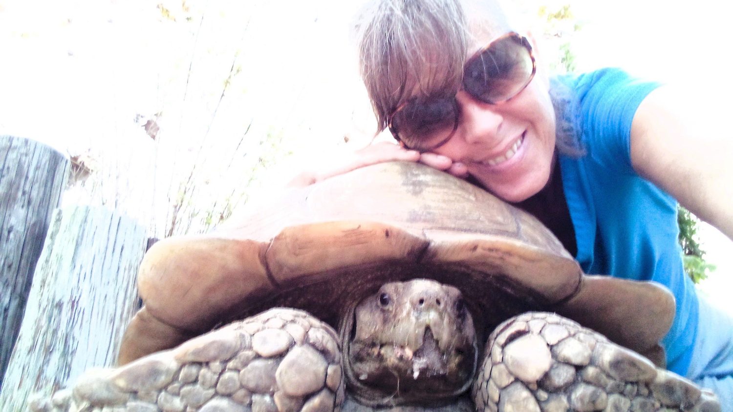 Why We Rehome Critters Versus Keeping ’em All