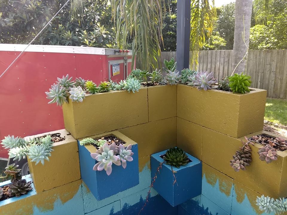 What Do Our Visitors Do With Their Succulents?