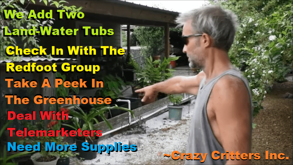 Two New Waterland Ponds In The Turtle Greenhouse